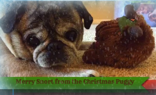 Screen Shot 2016-12-09 at 3.33.08 PM-1.jpg